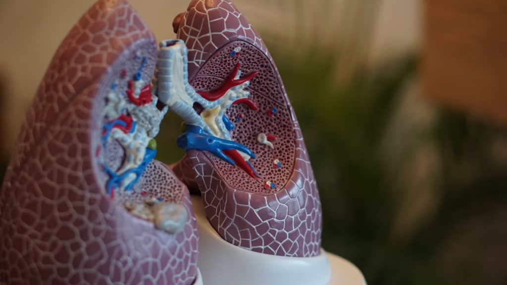 processed foods can effect your lungs and cause asthma