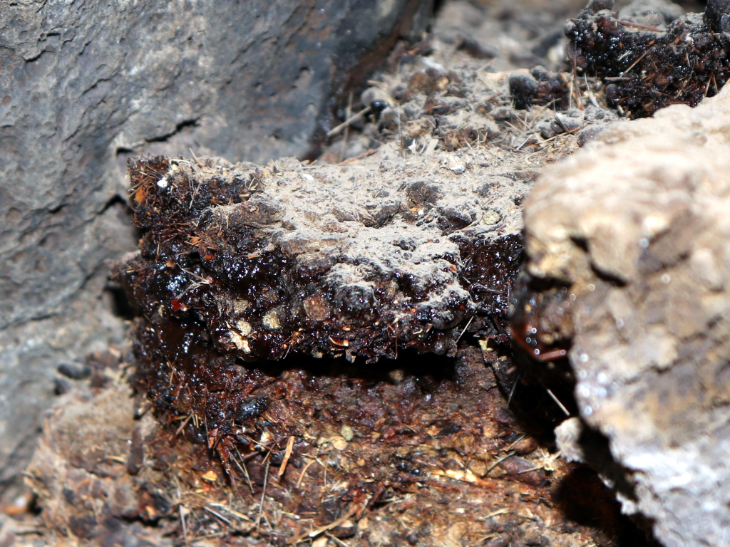 https://commons.wikimedia.org/wiki/File:Shilajit,_Mohave_Lava_Tube,_2018.04.01_%2835%29.jpg