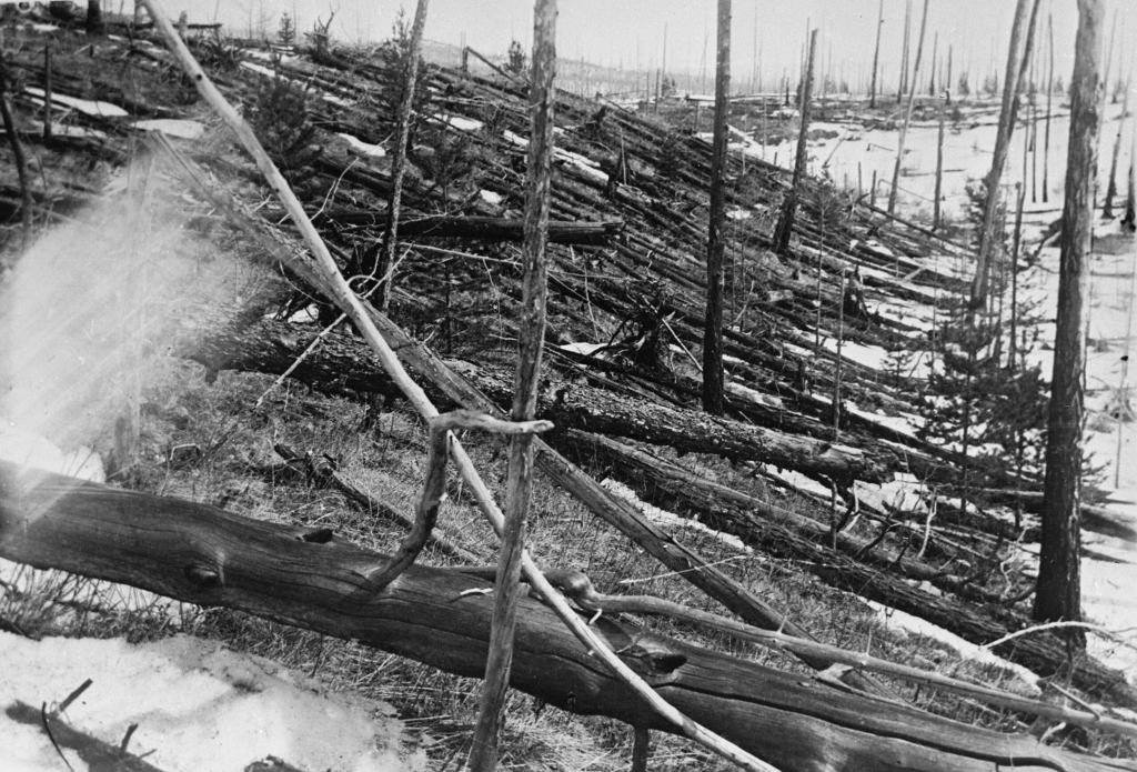 Tunguska event aftermath with 800 square miles of flattened Siberian forest.