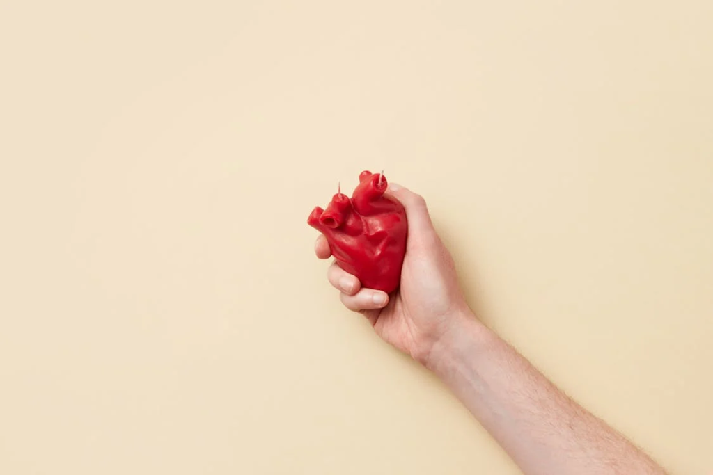 Photo of a Person's Hand Holding a Red Heart