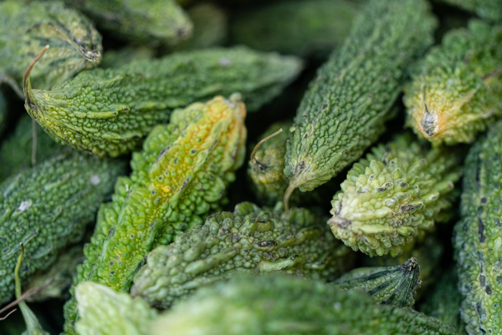 Close Up Photo of Bitter Gourd