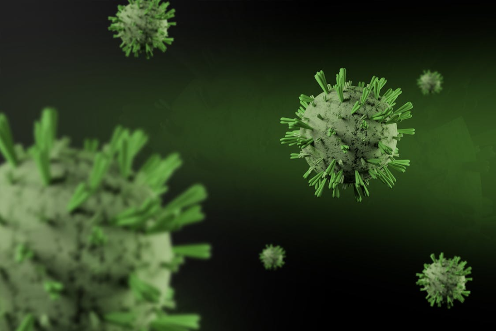 Close-Up Photo of a Corona Virus