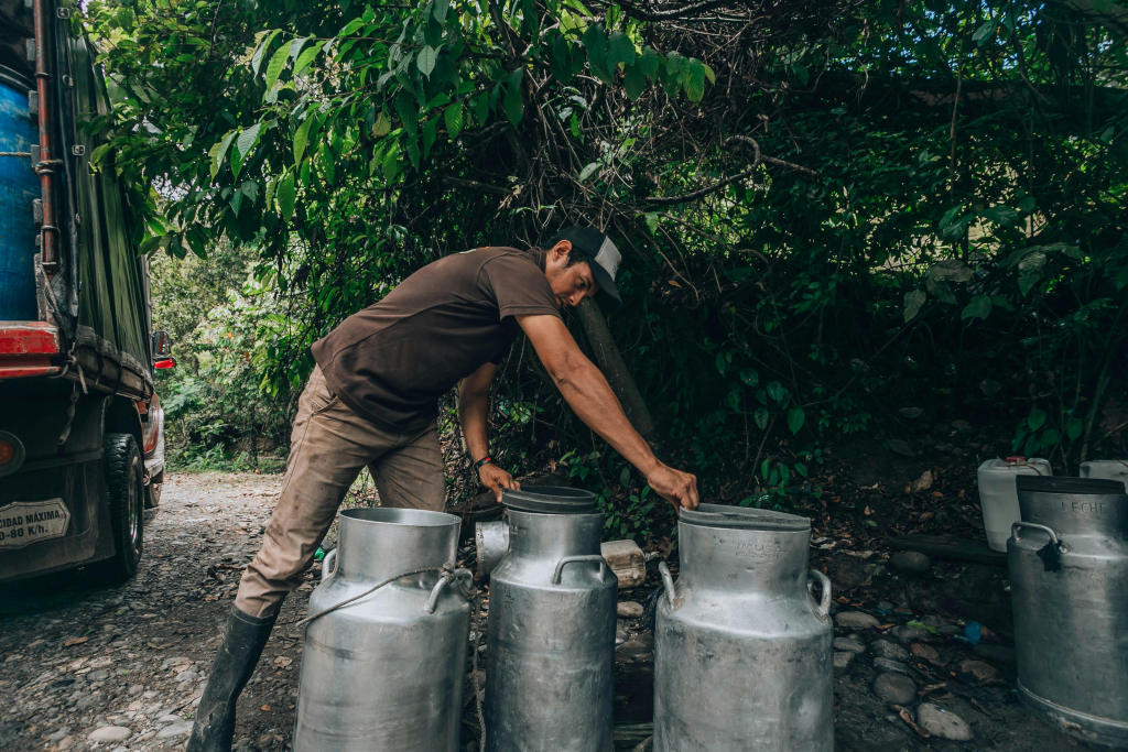 Farmer working with metal milk containers at a dairy operation.