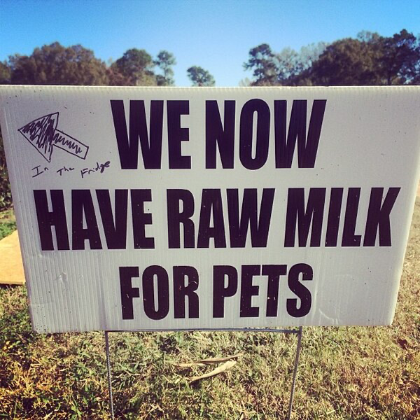 Handwritten farm sign that says raw milk is available for pets only.