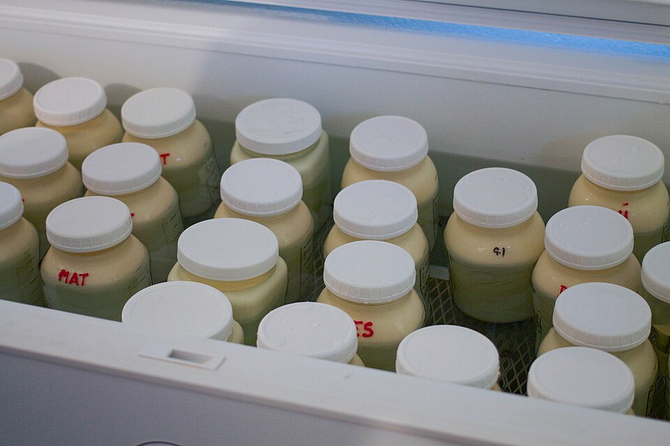 Glass bottles of fresh milk stored in a refrigerated display case.