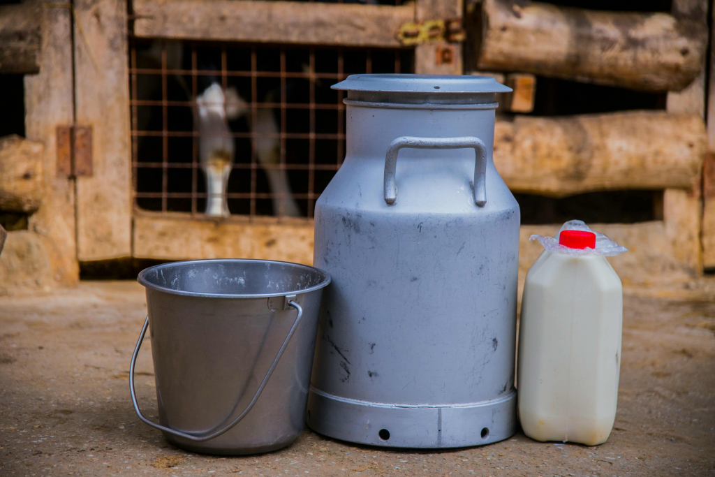 Traditional dairy equipment including a metal bucket and milk containers.