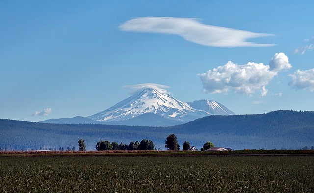 Mount Shasta
