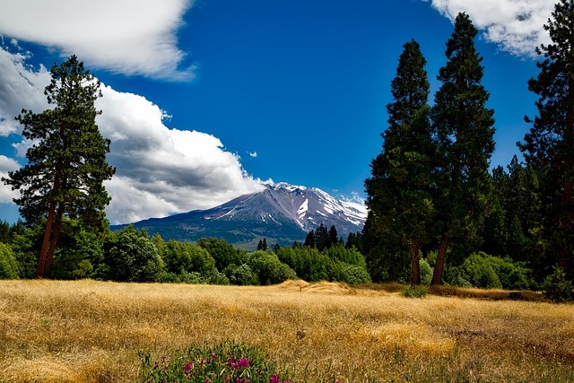 mountain view