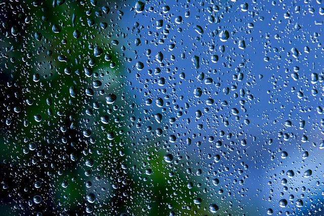 rain droplets