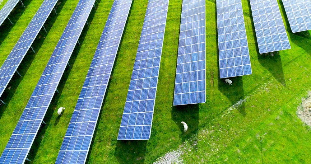 Solar panels in aerial view