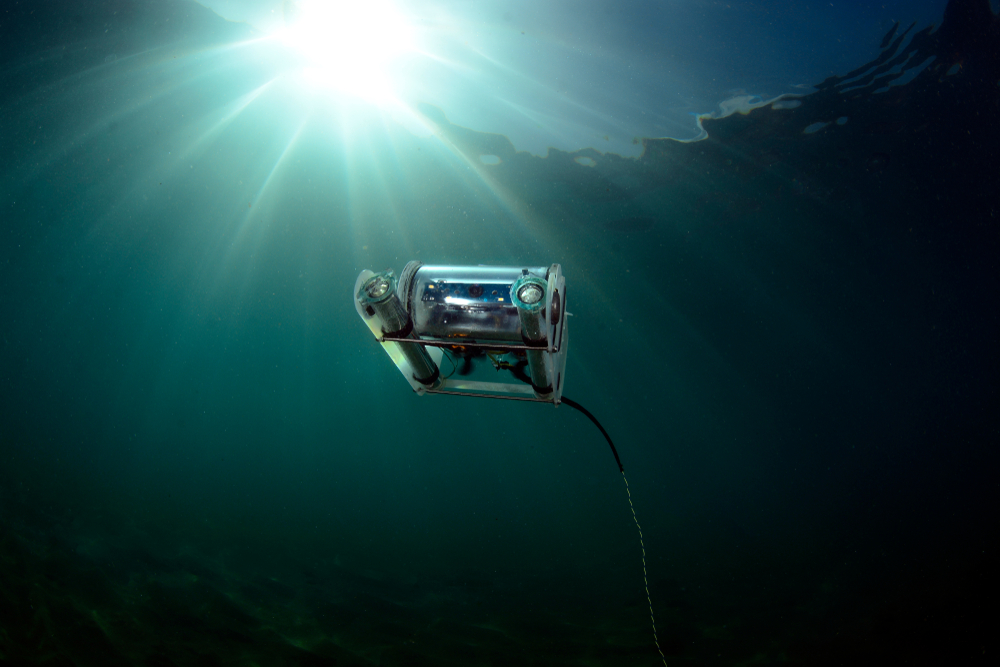 Remote operated vehicle