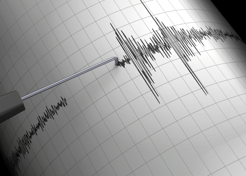 The Seismograph and Earthquake - 3D