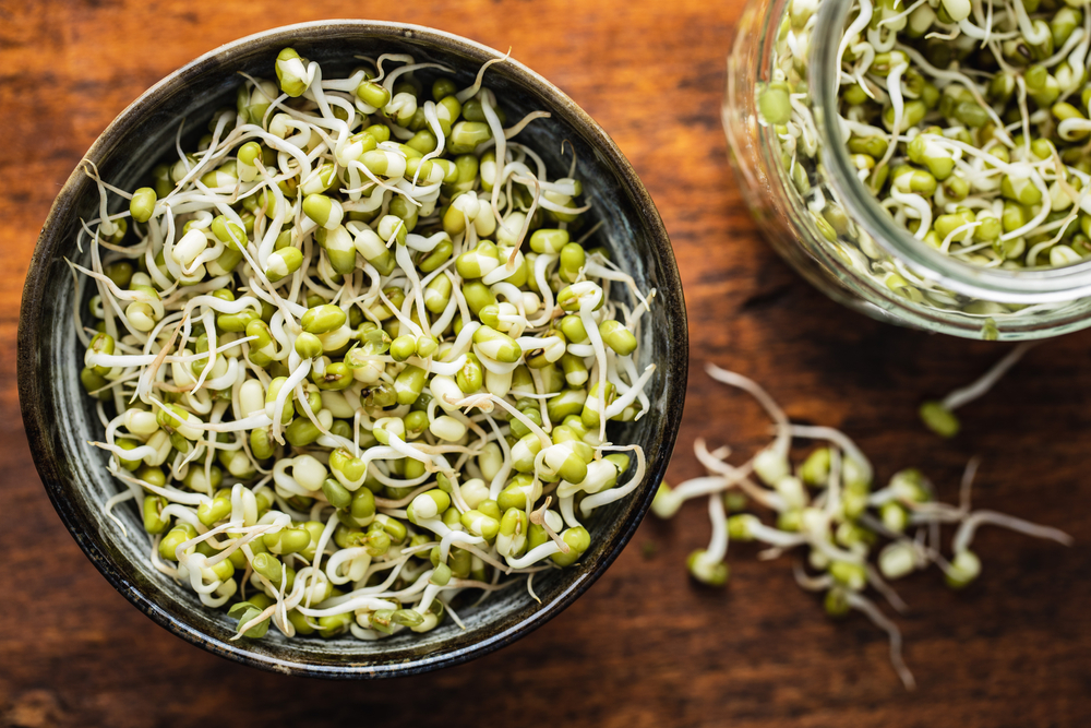 Sprouted green mung beans. Mung sprouts in bowl on wooden table. Top view.