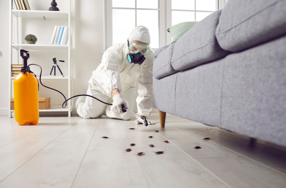 Pest control exterminator killing cockroaches inside house. Man in white protective suit, mask and gas respirator spraying insecticide from yellow sprayer bottle over roaches crawling on floor at home