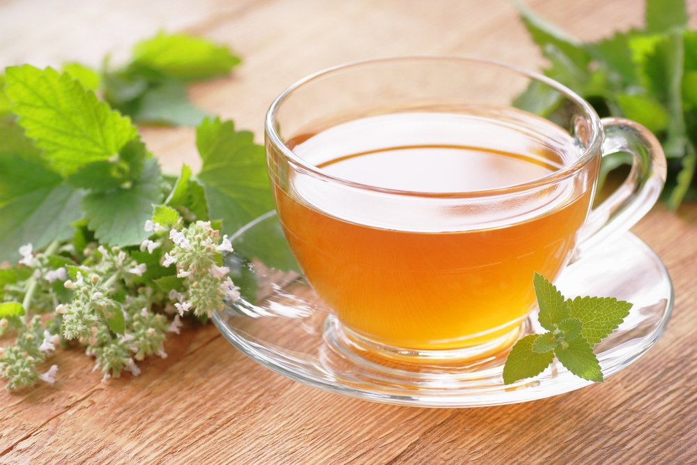 Lemon balm vitamin tea  on wooden rusric table with fresh leaves and flowers nearby, copy space, natural medicine, relax herbal tea for good sleep concept