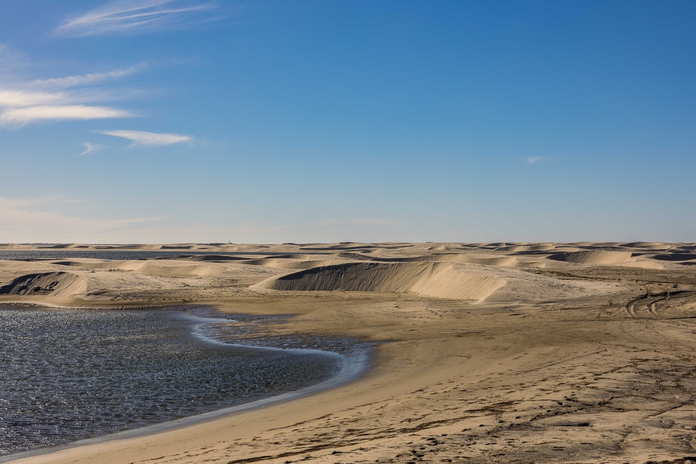 Guerrero Negro, Mexico, February 13th, 2024, dunes de la Soledad