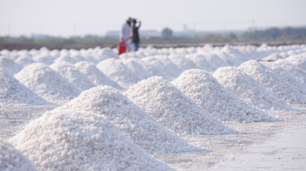 Sea salt working at sea agricultural farmer. Farmer harvest salt from salted water by sun dry. Summer agriculture in Thailand.