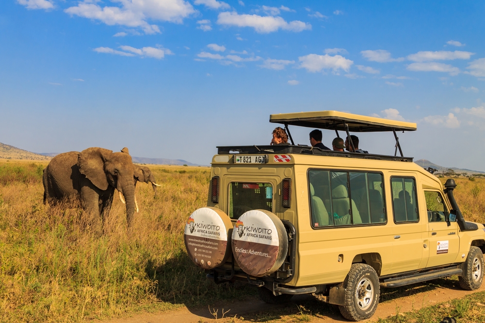 Serengeti, Tanzania - September 12, 2021: Tourists in SUV car watching and taking photos of african elephants in Serengeti national park, Tanzania