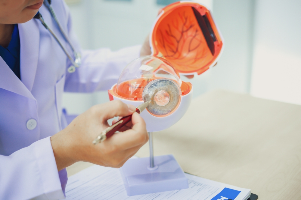 An ophthalmologist explains eye diseases using an eye model at an examination table in a hospital examination room. Glaucoma, cataracts, diabetic retinopathy.