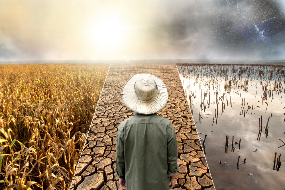 Agriculture facing harsh impacts of climate change and extreme weather