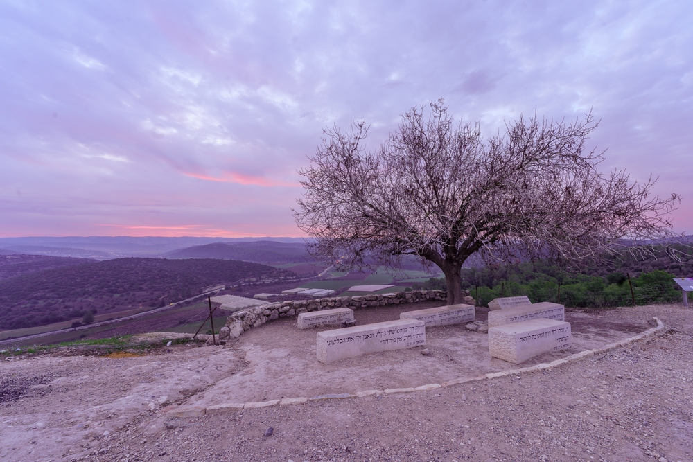 Azekah, Israel - January 16, 2025: Sunrise view of a lone tree, countryside and rolling hills in Tel Azekah, the Shephelah region, south-central Israel. Texts are bible verses regarding king David