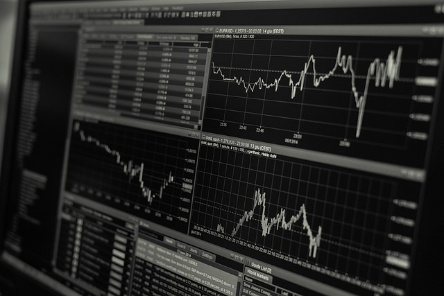 impact on the economy