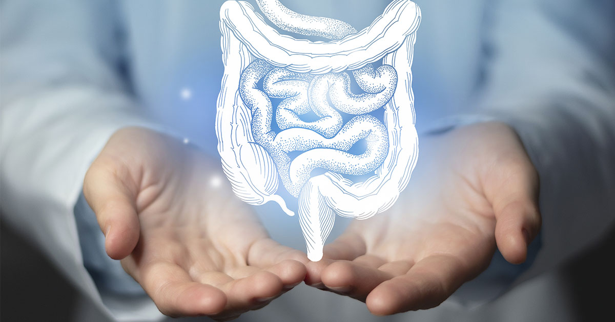 gastro intestinal tract