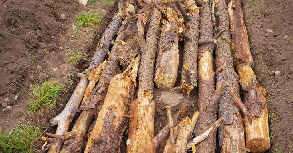 How to Build a Hügelkultur Bed, and Why You Should - Featured image