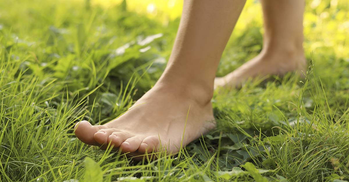 person walking on grass with bare feet. Grounding / earthing concept