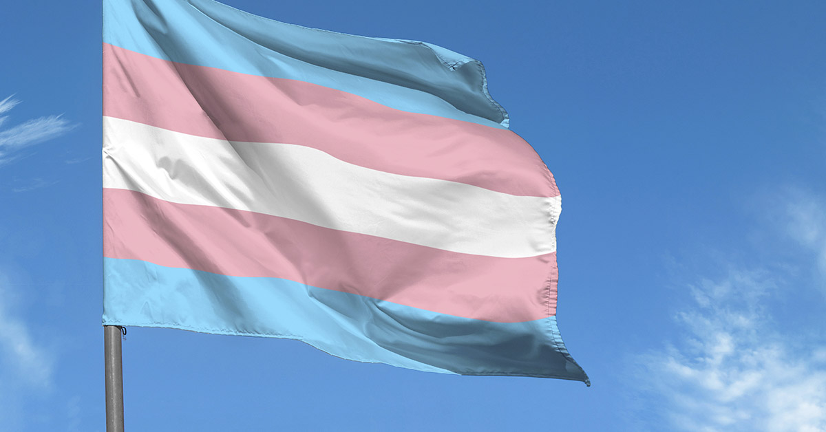 Trans flag