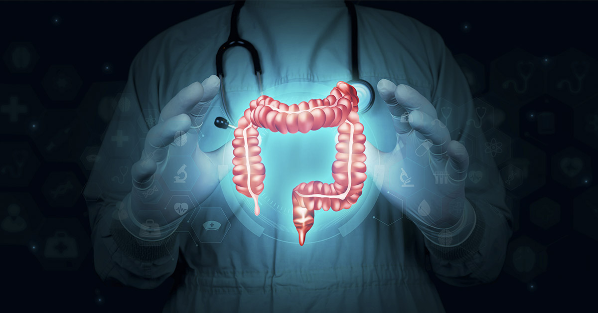 Large intestine