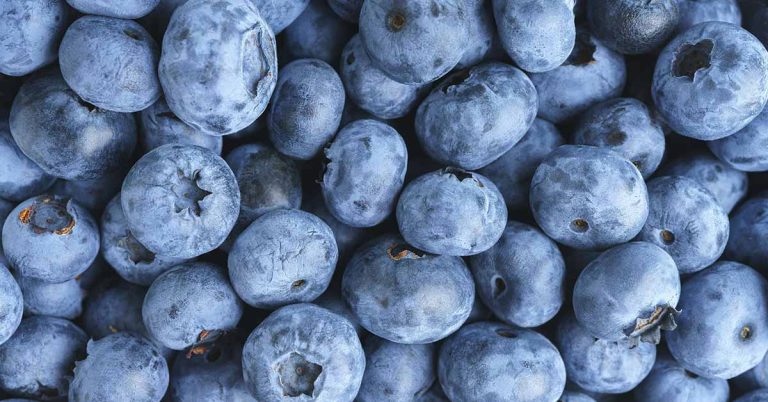 10 Foods to Help Lower Blood Pressure - Featured image