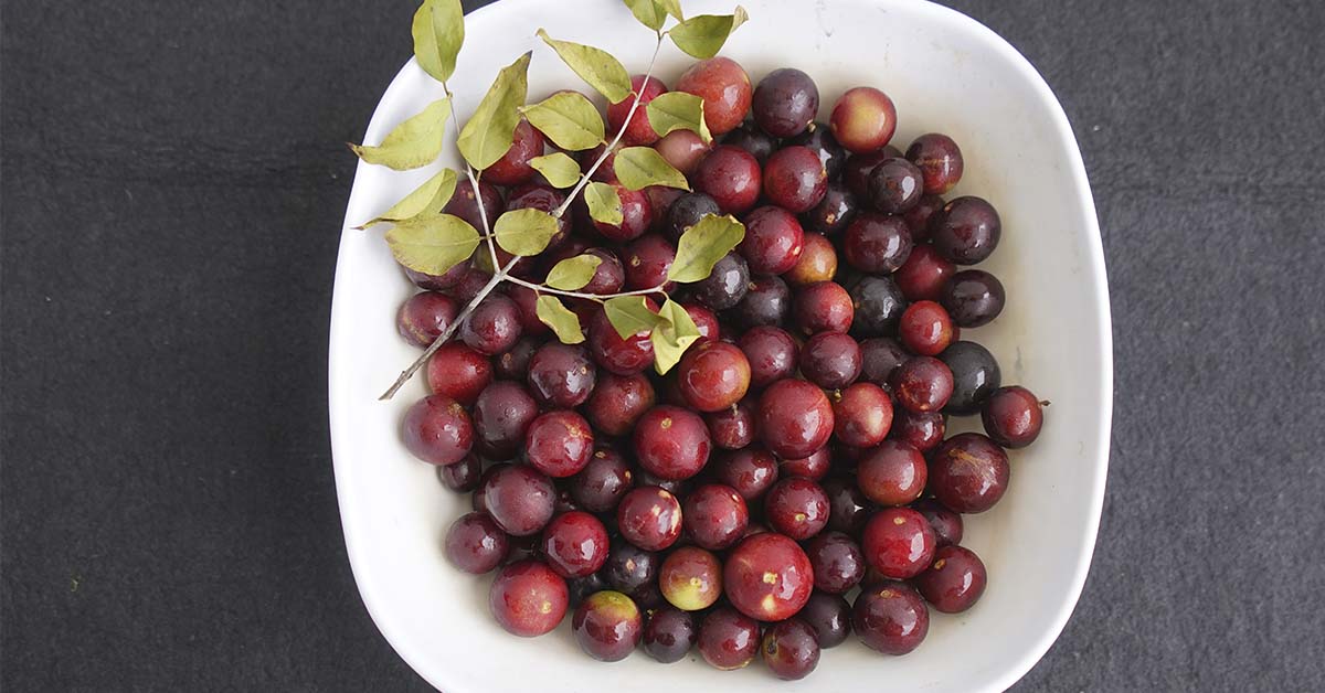 The camu-camu berry is native to the Amazon region, and a powerful superfood known for its high vitamin C content and antioxidants.