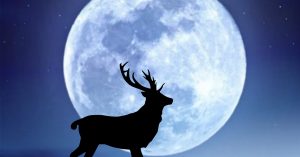 How To Watch the Spectacular Buck Moon Light Up the July 2025 Sky Buck silouhette in front of a large moon. Buck Moon concept