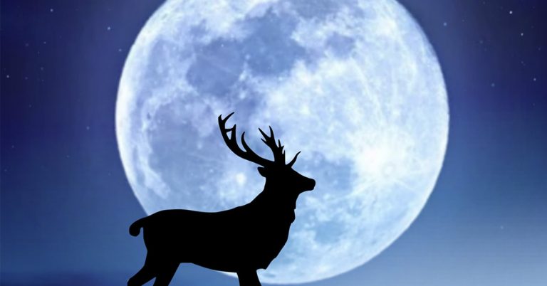 How To Watch the Spectacular Buck Moon Light Up the July 2025 Sky - Featured image