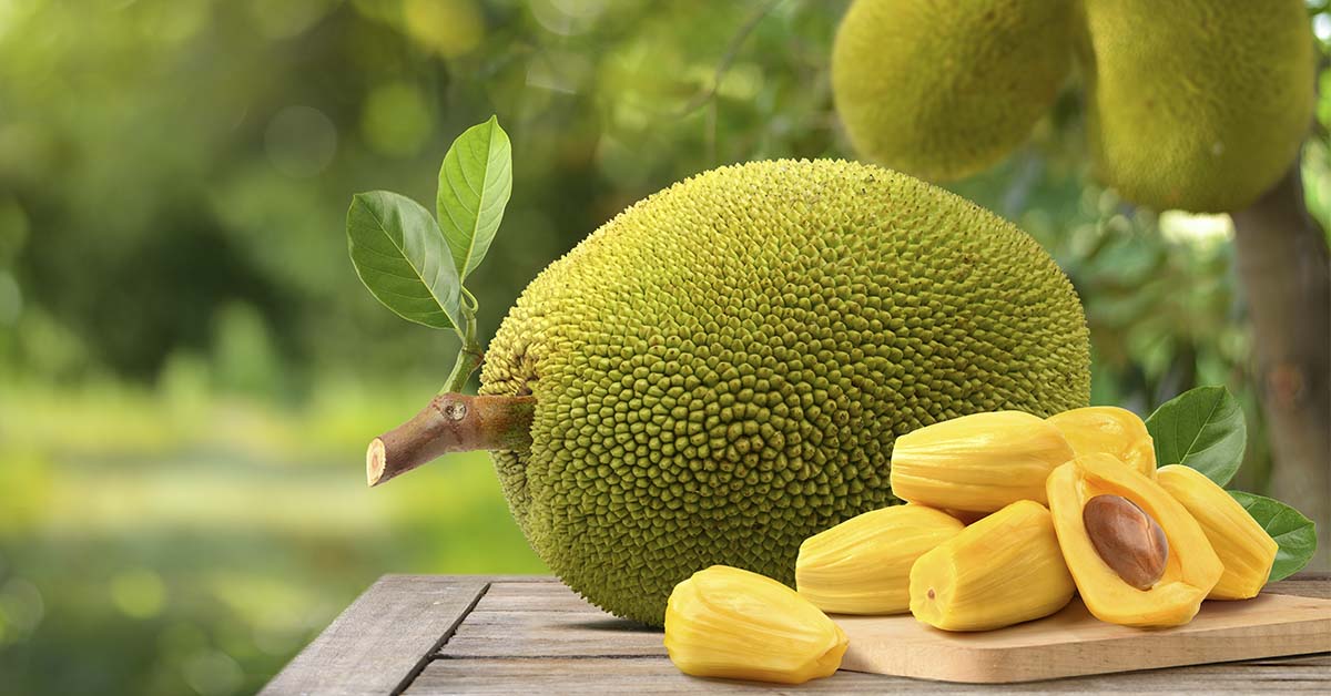 Jackfruit