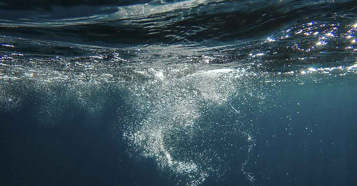 air bubbles just below the surface of water