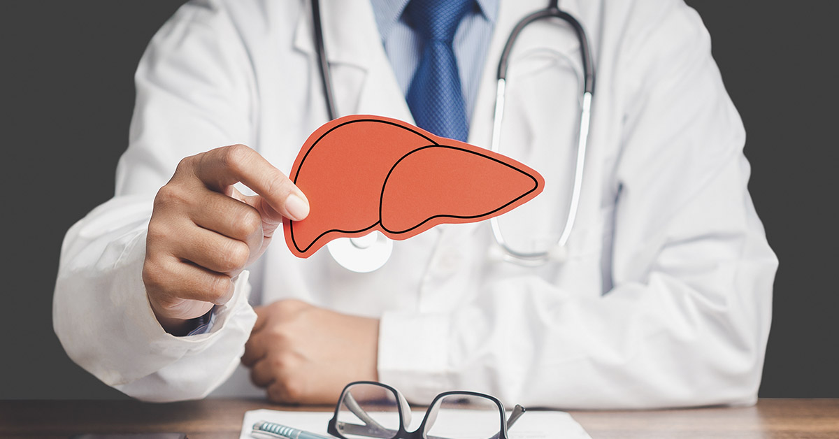 Doctor holding illustration of liver. Liver health concept