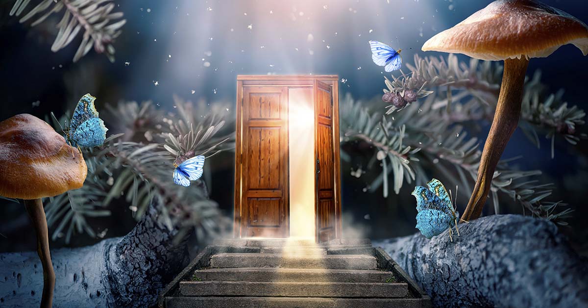 image depicts a miniature "fairy door," often associated with folklore and imaginative play. Dream concept