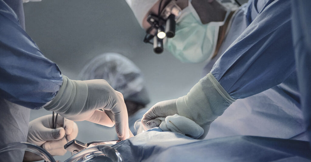 Toxic Shock Syndrome From Tampon Use Leaves Model Fighting for Her Life - Featured image