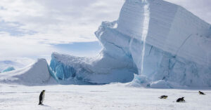 Scientists Uncover Ancient World Hidden Under Antarctica's Ice Sheet snowy Antarctic scene with penguins