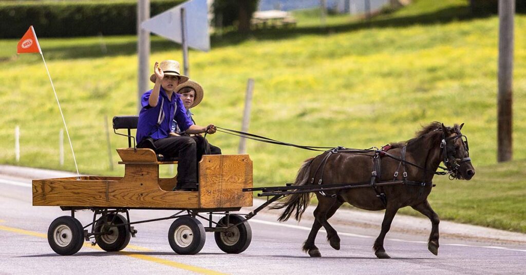 Scientists May Have Uncovered Why Amish Kids Rarely Get Allergies - Featured image