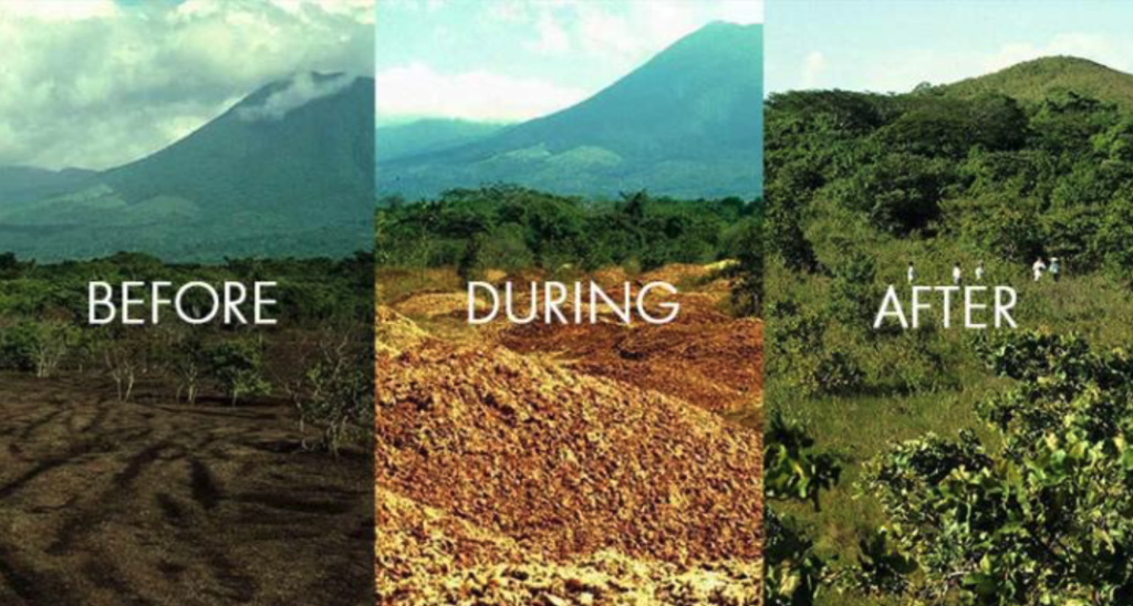 Three-panel comparison showing the site before dumping, during orange peel decomposition, and after forest regrowth.