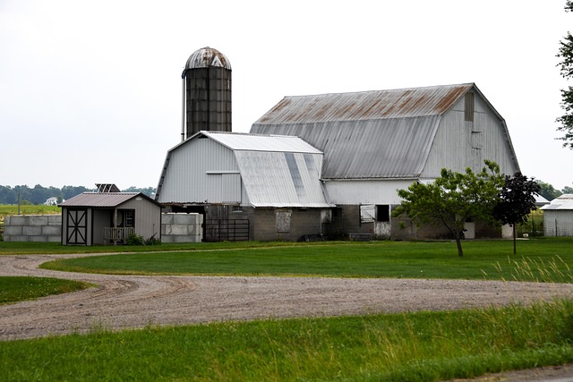 Amish barn