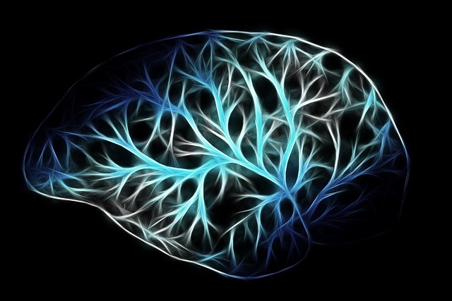 brain activity