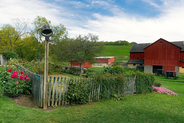 Amish farm