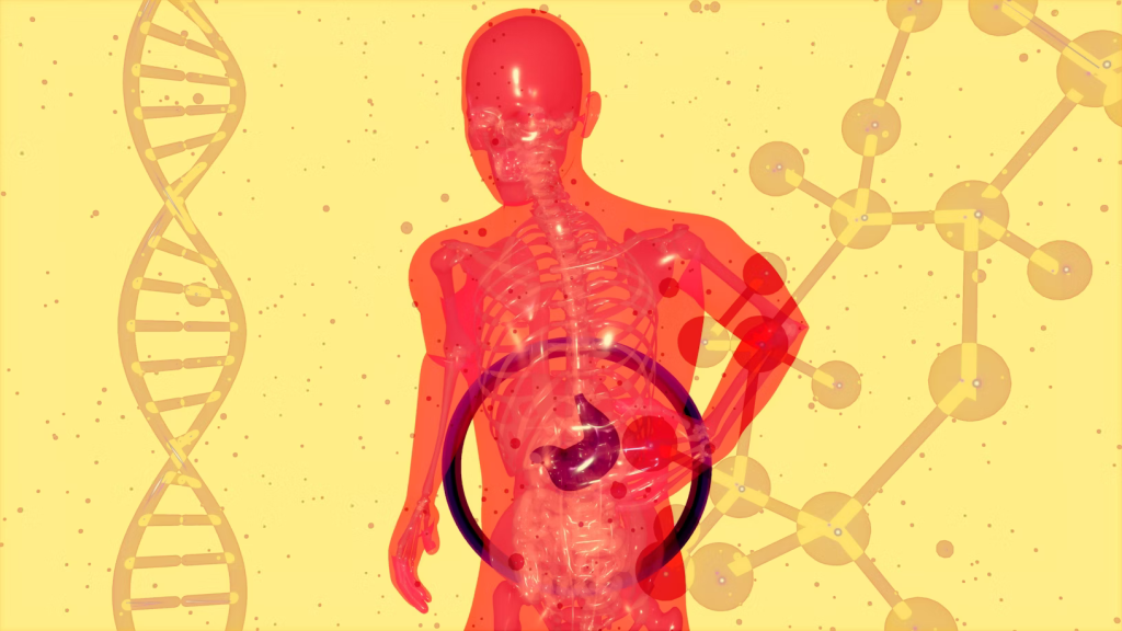 Human silhouette with highlighted digestive system surrounded by DNA strands and molecular structures, representing genetic factors in cancer development.