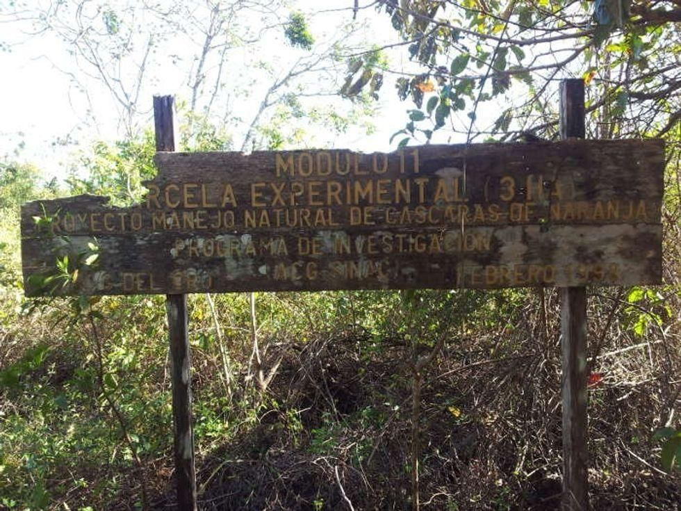 Wooden sign marking the location of the orange peel dumping experiment.