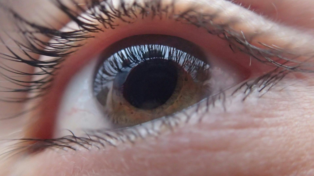 Extreme close-up of a human eye with detailed eyelashes, pupils dilated from the body's automatic kissing response.