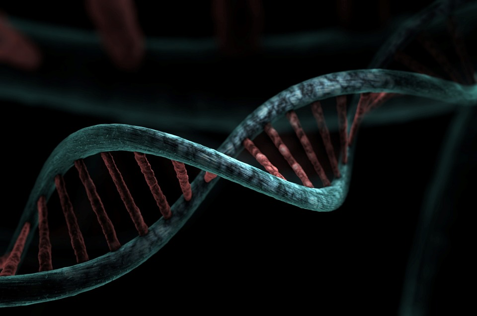 3D DNA double helix structure in vivid detail, the genetic information exchanged through saliva and pheromones.